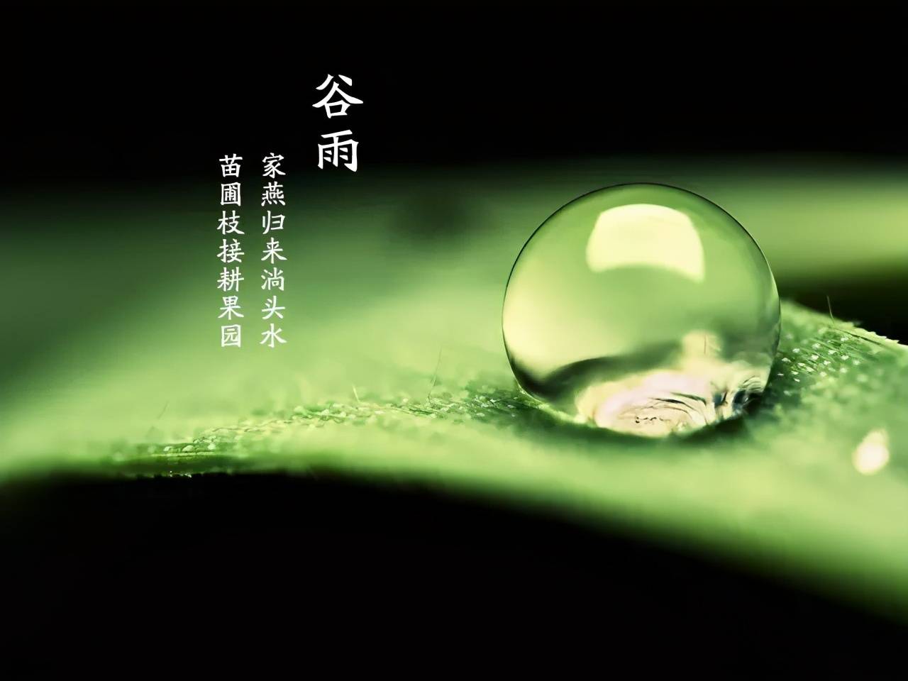 蛐蛐儿二群二.jpeg